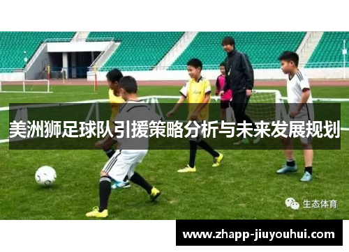 美洲狮足球队引援策略分析与未来发展规划