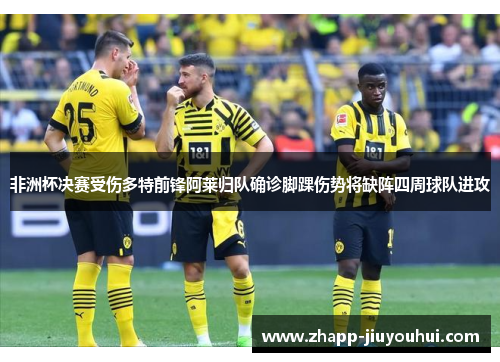 非洲杯决赛受伤多特前锋阿莱归队确诊脚踝伤势将缺阵四周球队进攻